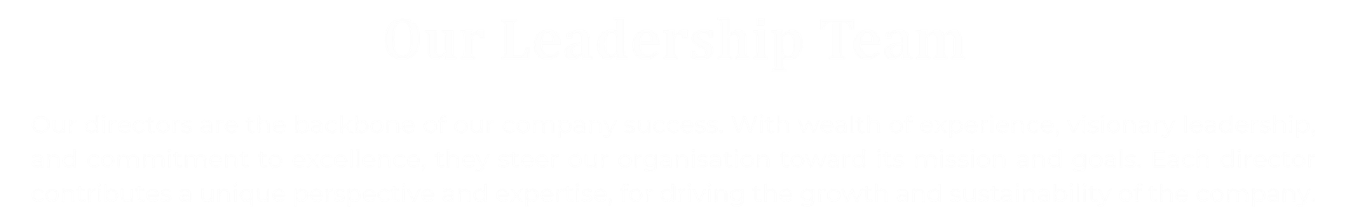 Our Leadership Writeup